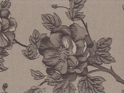 Fletcher Espresso furniture fabric. Item number FF45185-0004
